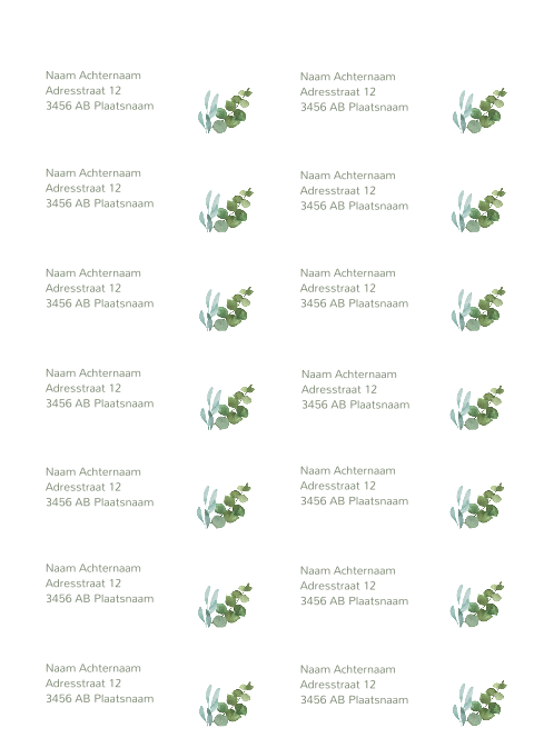 Adresstickers trouwkaart Botanical Leaves
