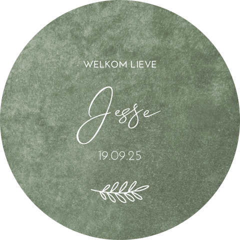 Raamsticker rond 60 cm Jesse groen velvet