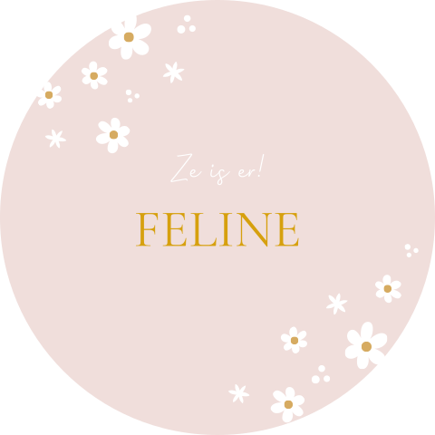 Raamsticker rond 60 cm Feline lichtroze madelief