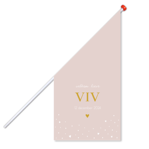 Geboortevlag klein geboortekaartje Viv roze hartjes