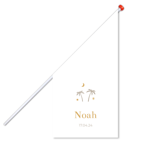 Geboortevlag klein geboortekaartje Noah wit modern palmboom