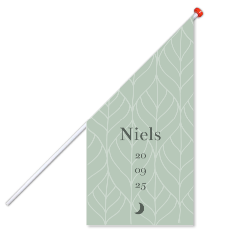 Geboortevlag klein geboortekaartje Niels botanisch groen