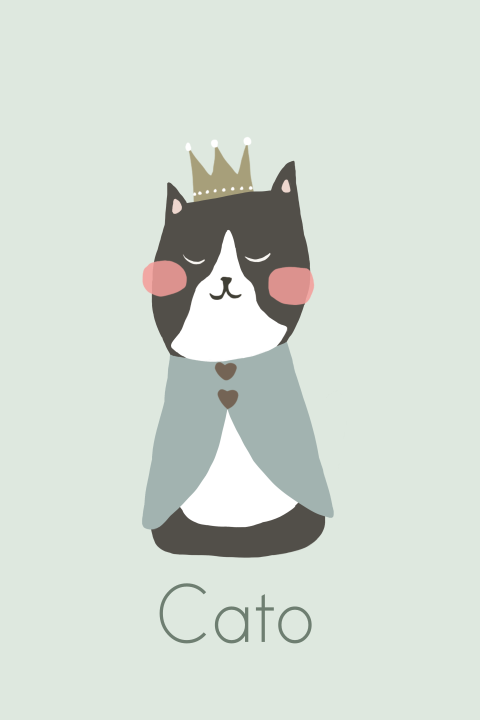 Geboortekaartje zwart witte poes mint