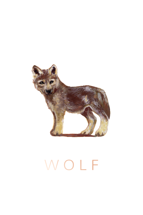 Poster Jonge wolf