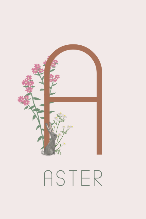 Geboortekaartje letterkaart aster kamille