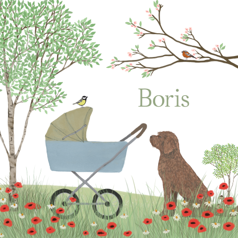 Poster Kinderwagen Labradoodle klaprozen lente