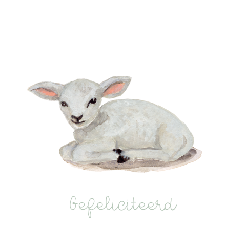 Wenskaart Gefeliciteerd lammetje