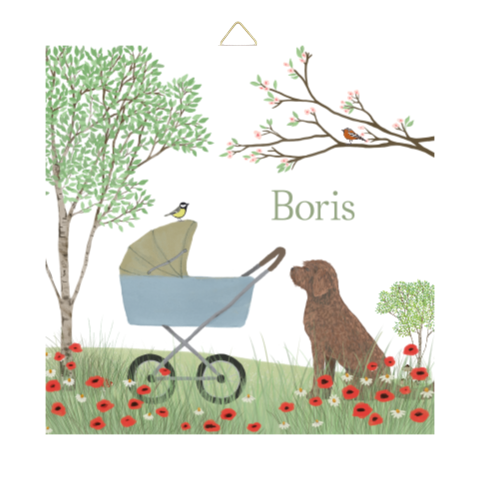 Tegeltje kinderwagen Labradoodle klaprozen lente