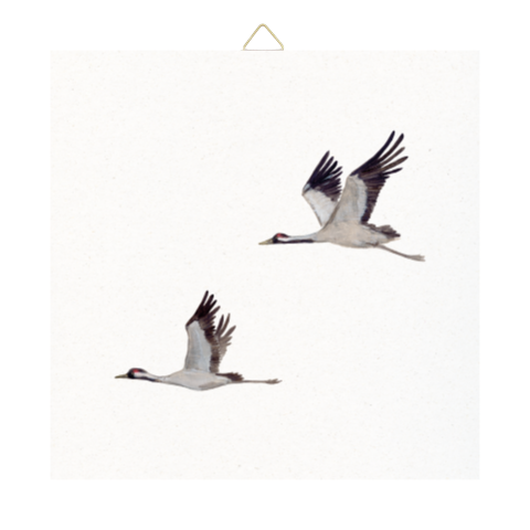 Tegeltje Kraanvogels vliegend