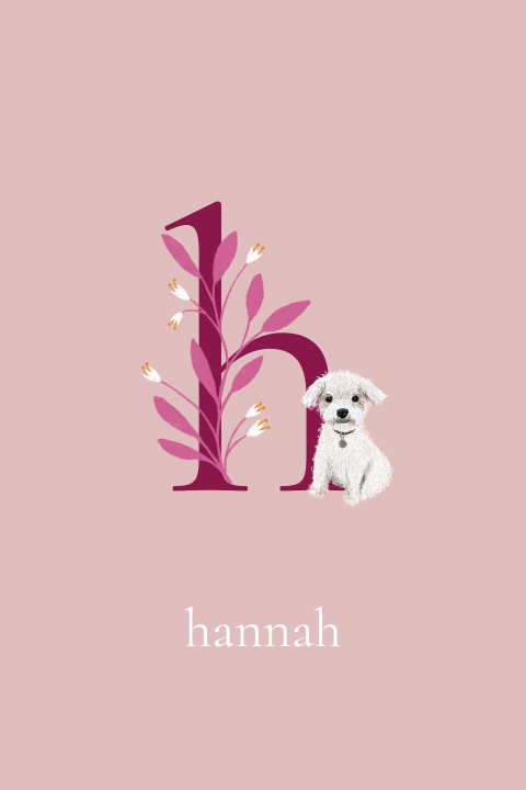Geboortekaartje Hannah