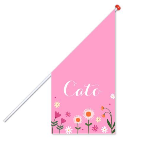 Geboortevlag Cato met madeliefjes