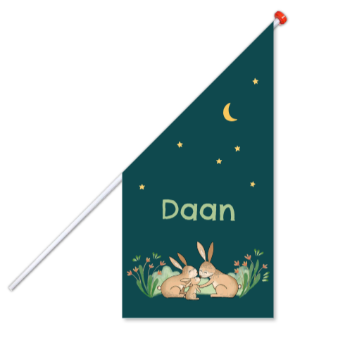 Geboortevlag Daan