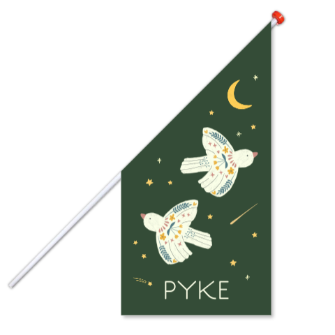 Geboortevlag Pyke  |   Birds by night