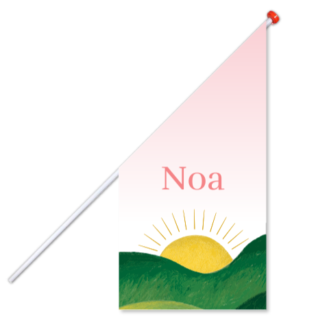 Geboortevlag Noa