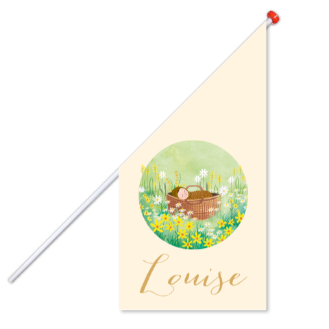 Geboortevlag Louise  |  Babymandje tussen de bloemen