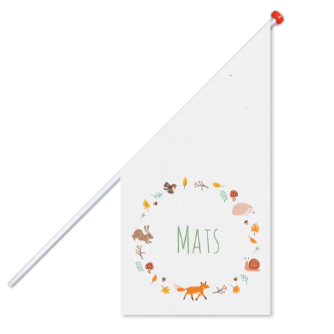 Geboortevlag Mats