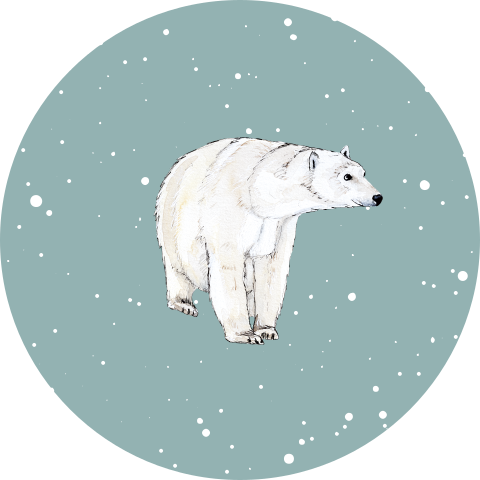 Sluitsticker ijsbeer sneeuw