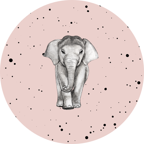 Sluitsticker baby olifant stipjes