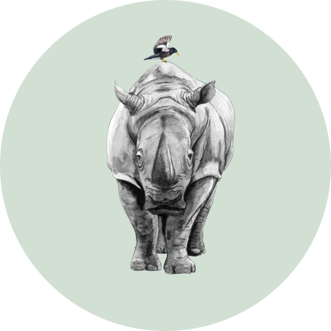 Sluitsticker Neushoorn