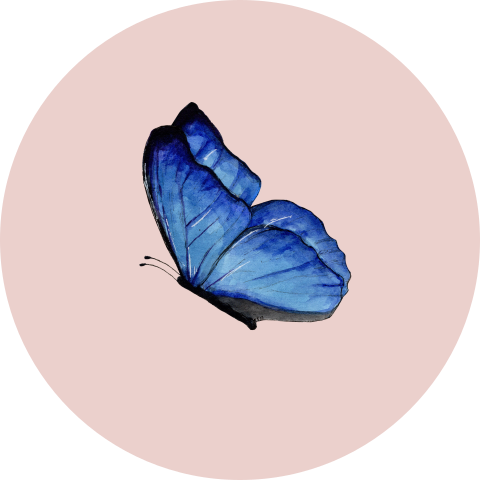 Sluitsticker vlinder roze
