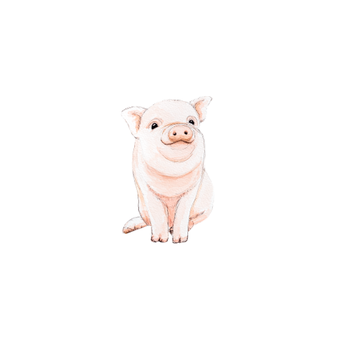 Sluitsticker Biggetje