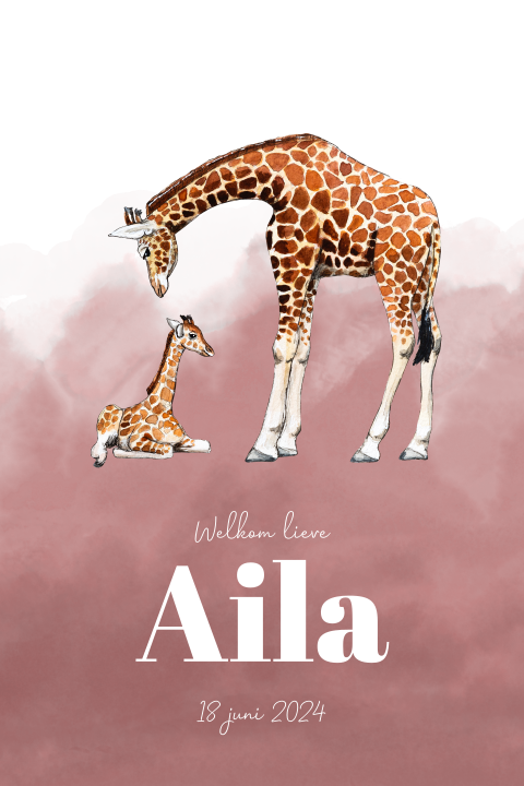 Staand enkel met baby giraffe liggend Meisje
