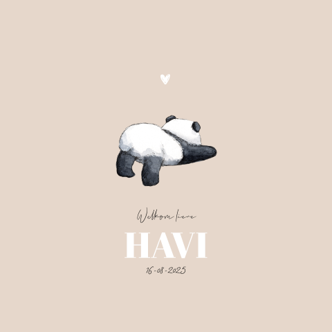 Geboortekaartje vierkant baby panda