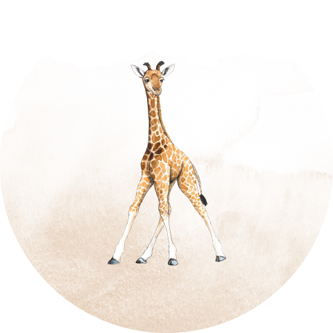 Sluitsticker baby giraffe