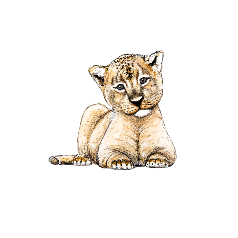Sluitsticker baby leeuw