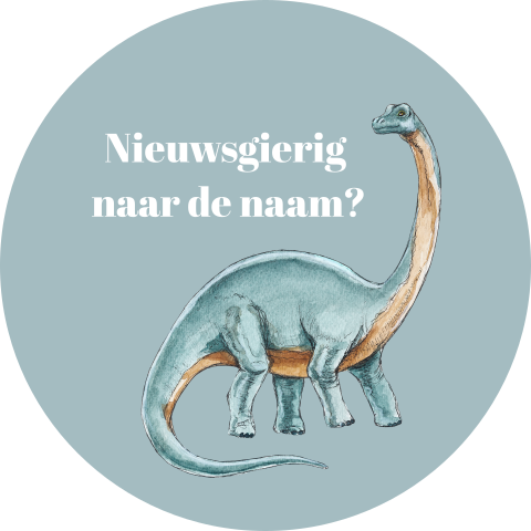 Sluitsticker Dino