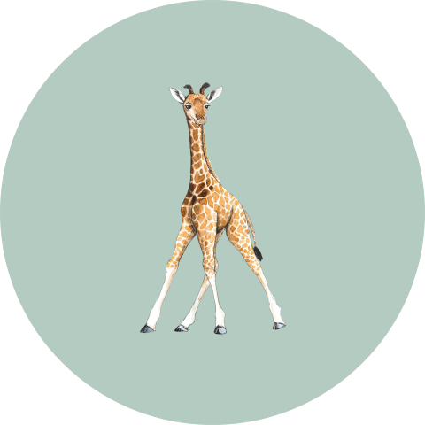Sluitsticker baby giraf groen