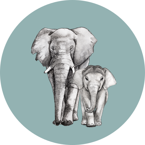 Sluitsticker Olifant met baby
