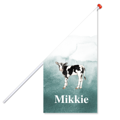 Geboortevlag kalfje