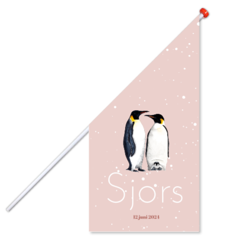 Geboortevlag pinguins