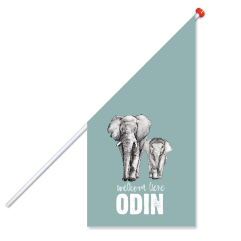 Geboortevlag olifant