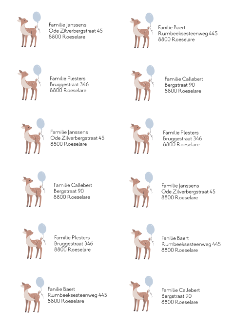 Adresstickers 97x45mm