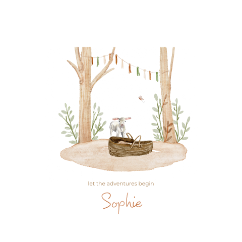 Lief geboortekaartje meisje lammetje lente zomer getekend