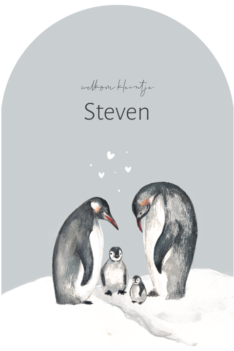Winter geboortekaartje broertje pinguins in bijzondere vorm