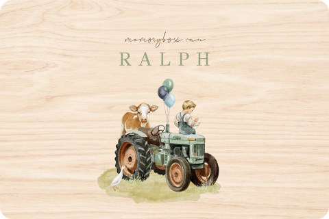 memorybox boerderij tractor koe broertje met baby 
