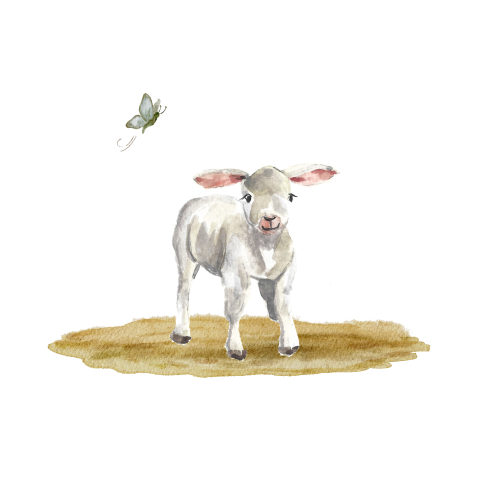 Sluitzegel geboortekaartje lammetje en vlinder