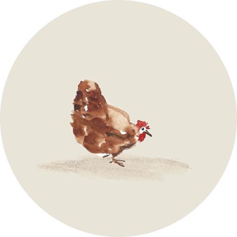 Sluitsticker geboorte kip beige