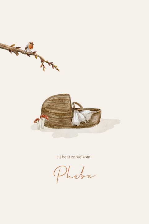 Geboortekaartje herfst baby mandje getekend roodborstje