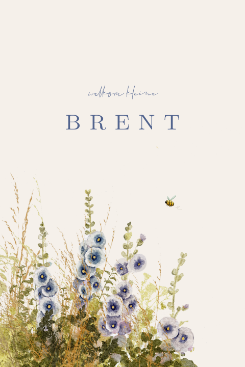 Geboortekaartje jongen bloemen aquarel stokrozen zomer blauw
