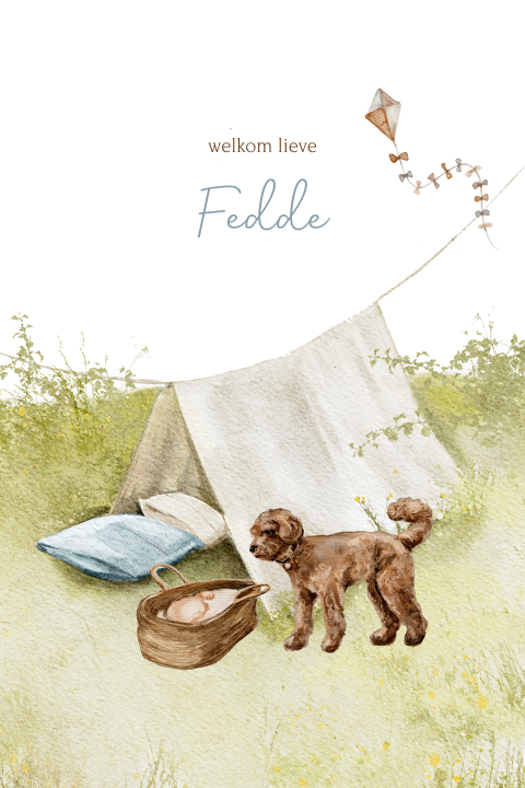 Geboortekaartje hond jongen baby gras tent vlieger