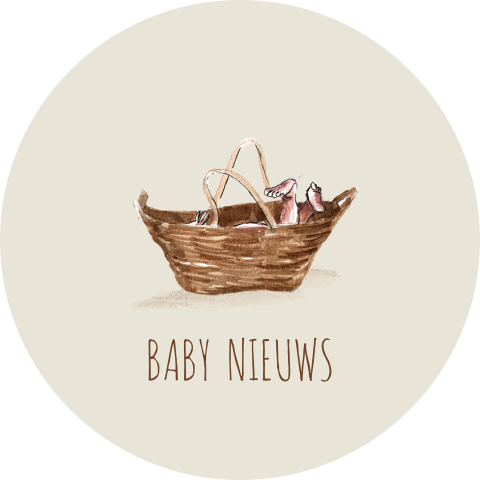 Sluitsticker geboortekaartje baby in mandje getekend