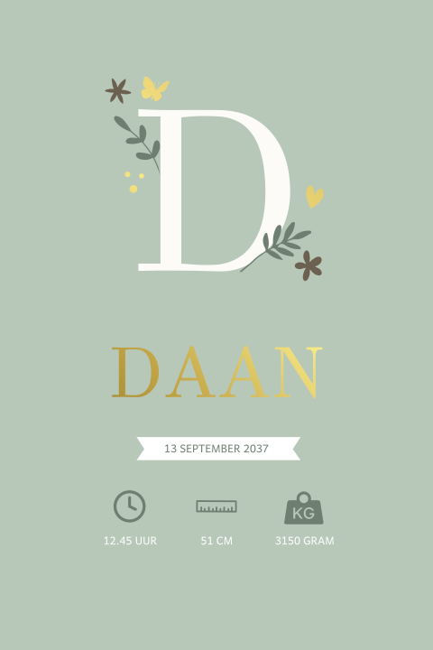 Luxe geboorteposter met elementjes en initiaal