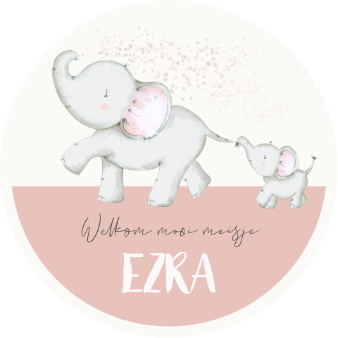 Raamsticker olifant met klein olifantje