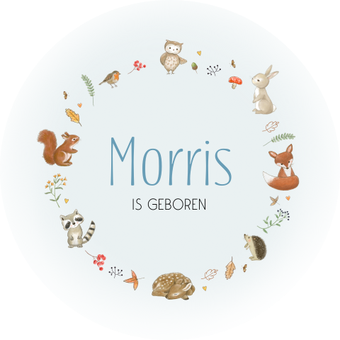 Ronde raamsticker jongen bosdieren herfst