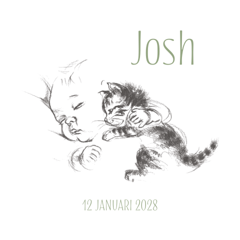 Geboortekaartje pentekening baby met kat