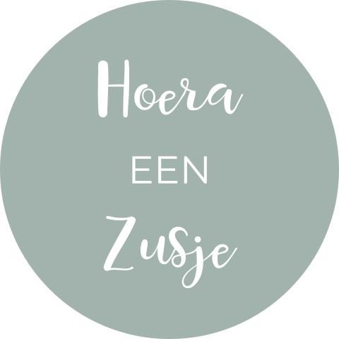 Sluitsticker geboortekaartje mintgroen hoera zusje